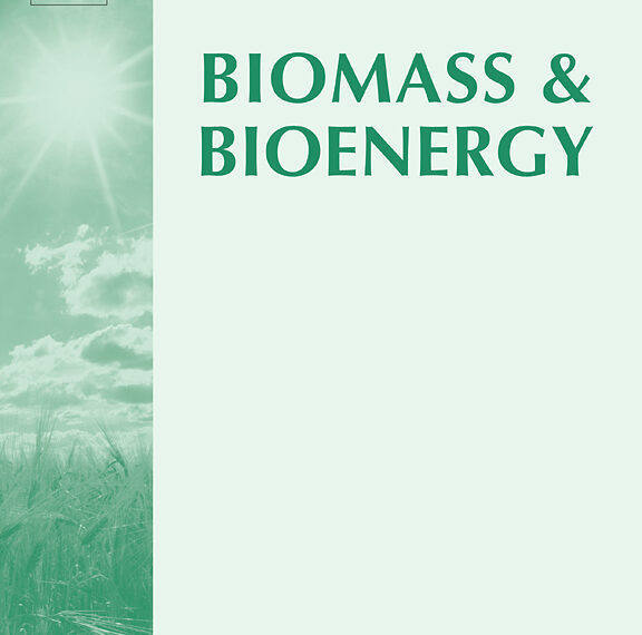 Isabel Fonts appointed as member of Editorial Board of Biomass & Bioenergy